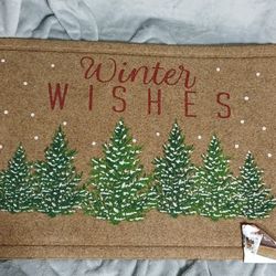 Winter Door Mats 