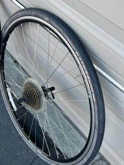 Bontrager nebula wheels hot sale