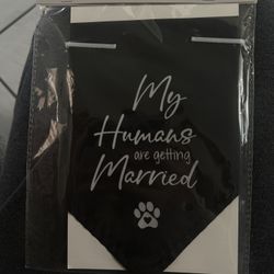 Wedding Dog Bandana 