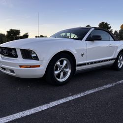 2009 Ford Mustang