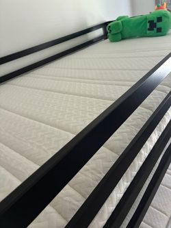 Bunk Beds