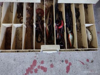 Fishing Tackle Box And Rod And Reels