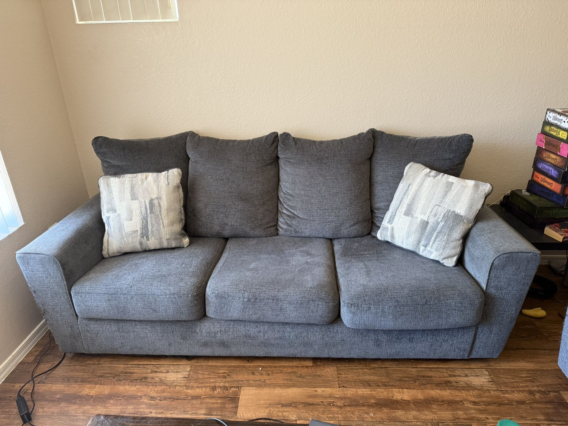 Couch And Loveseat Just Cleaned