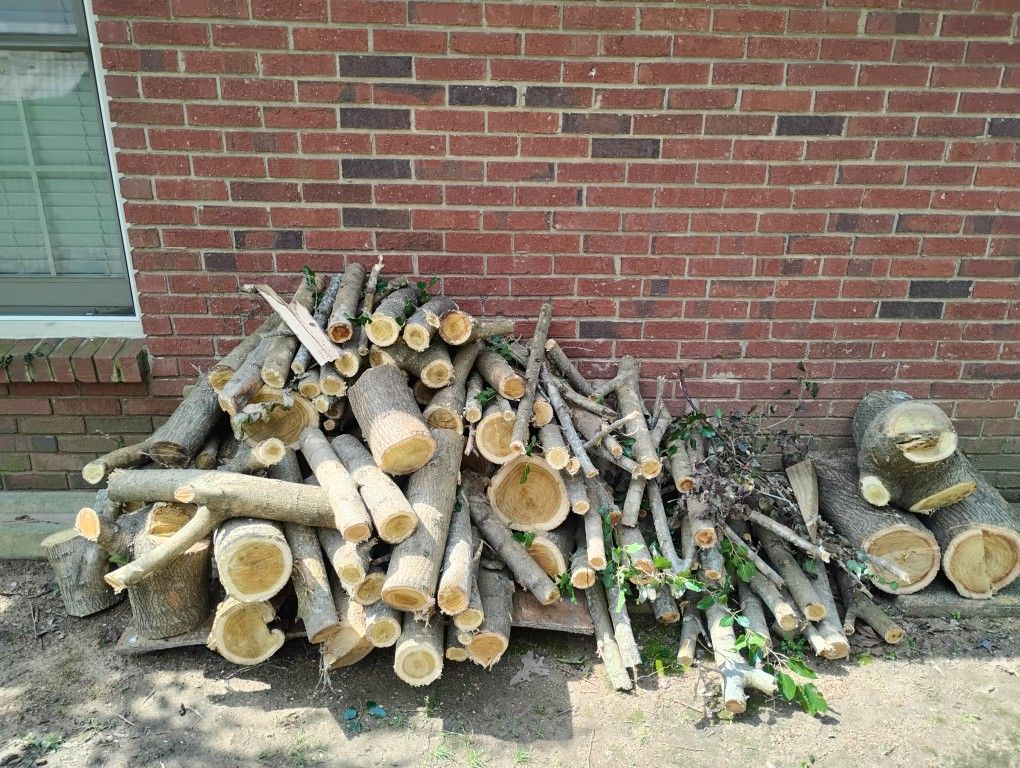 Firewood