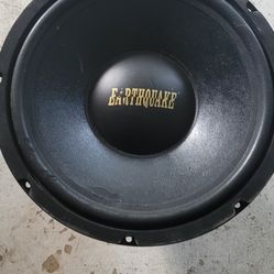 12" Subwoofer 