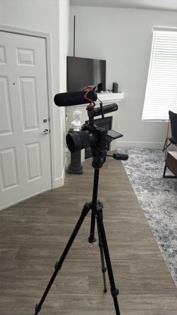 Sony a6600