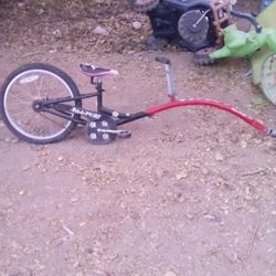 20" Allycat Bike Trailer 