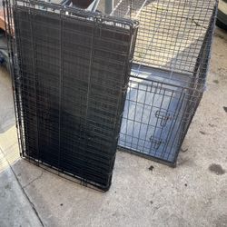 Dog Crates