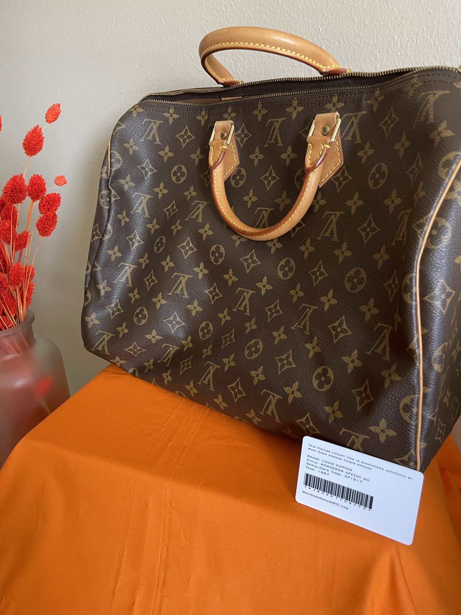Louis Vuitton  Bags