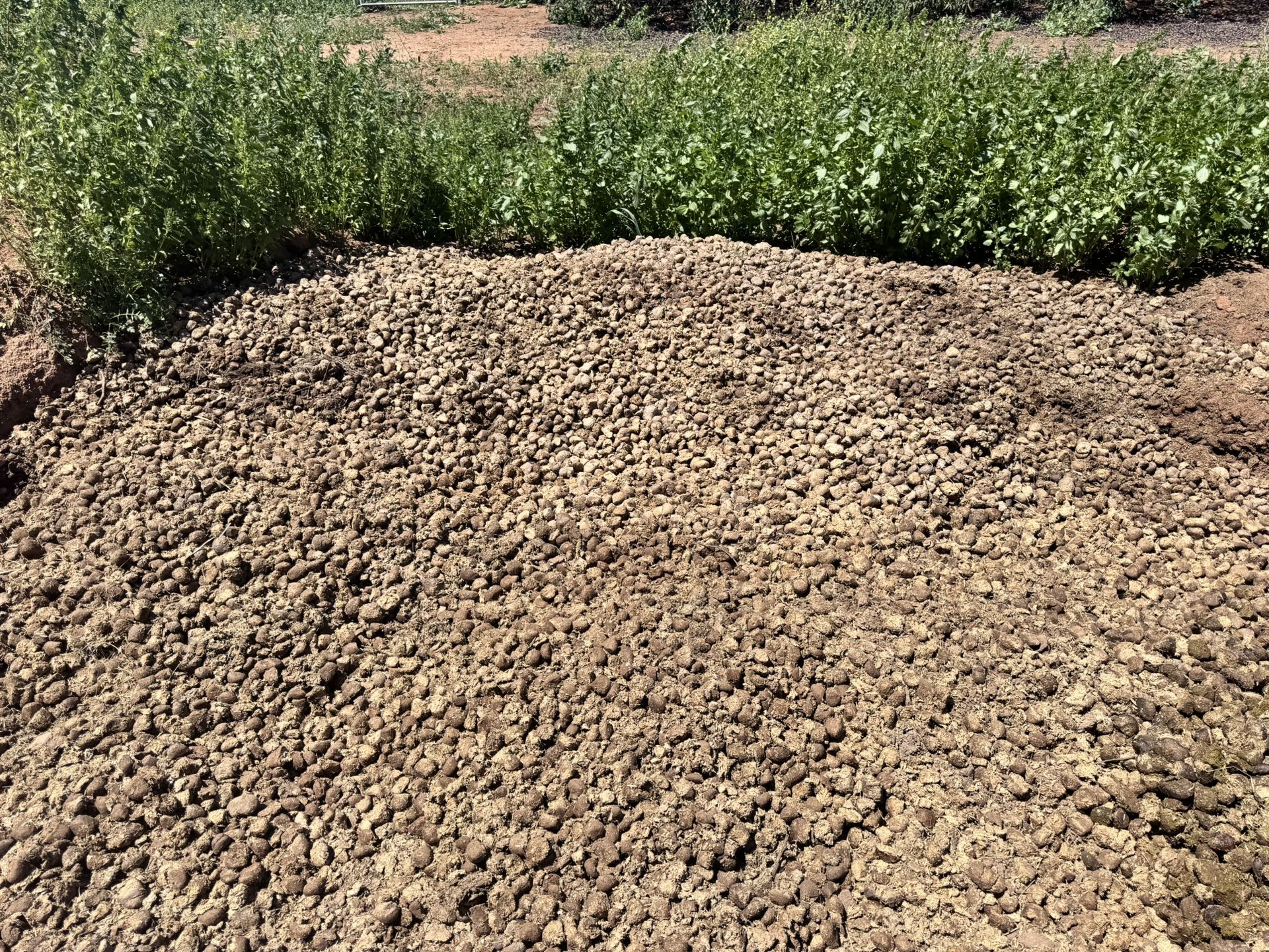 Free Organic Fertilizer