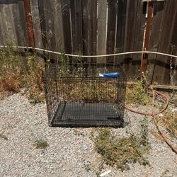 Big Dog Cage 