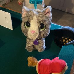 Real Life Pet
