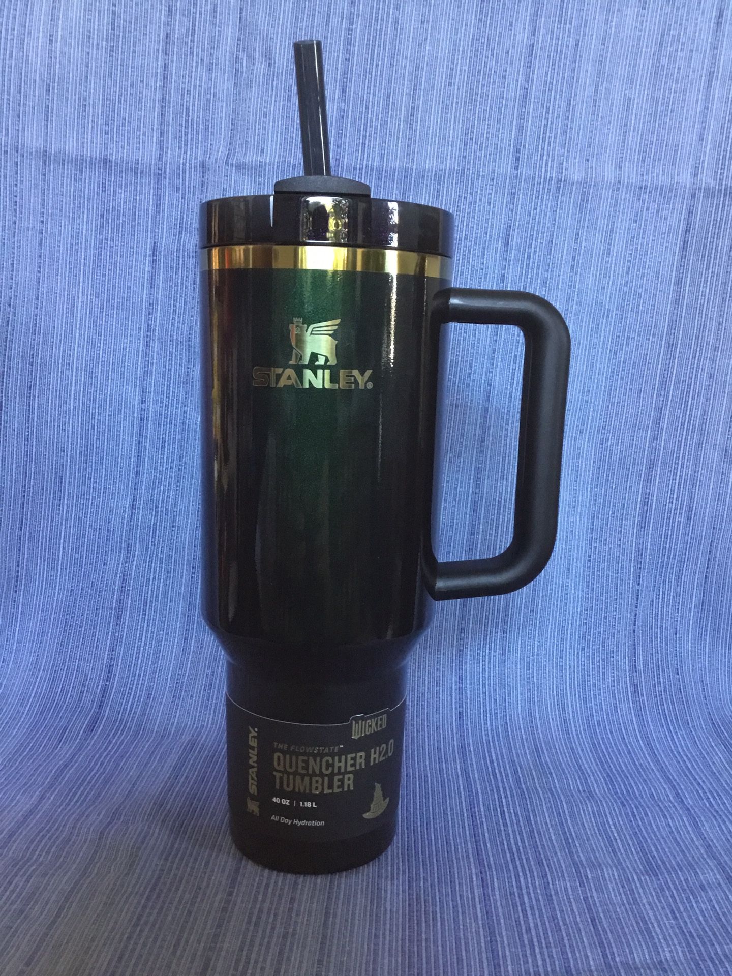 Stanley Wicked Tumbler 40oz Elphaba
