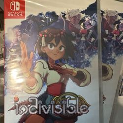 Nintendo Switch Indivisible  