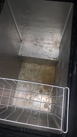 Freezer Freezer