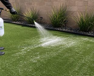 Turf deep cleaning