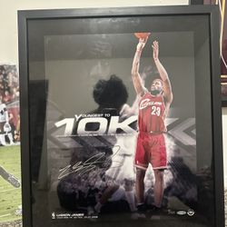 Lebron James Signed 16x20 