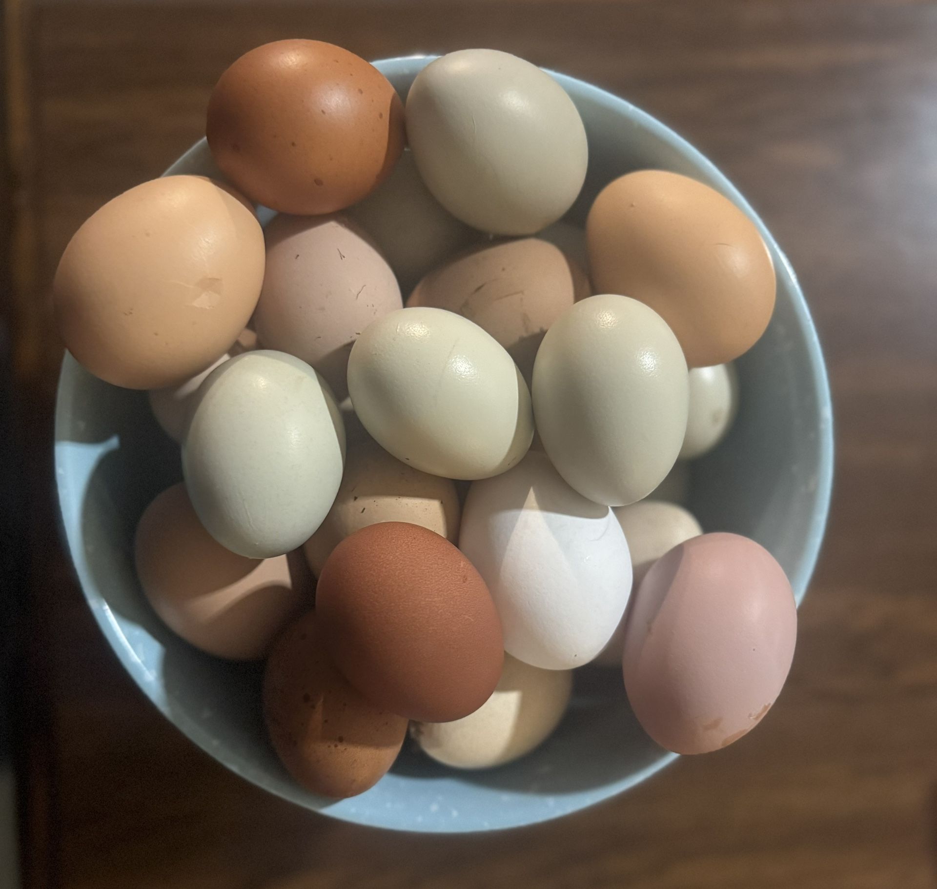 Farm Fresh Eggs