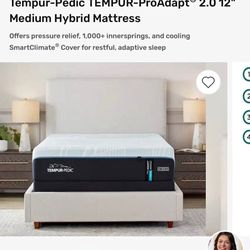 Best Twin XL Bed And Smart Frame - Perfect For Back Pain