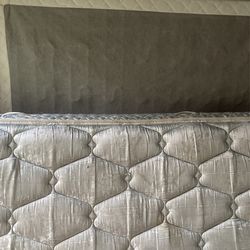 Queen Box springs And Mattress