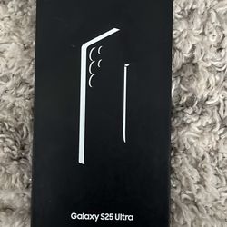 Samsung Galaxy S25 Ultra 