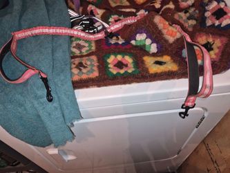 Double collar leash for dogs
