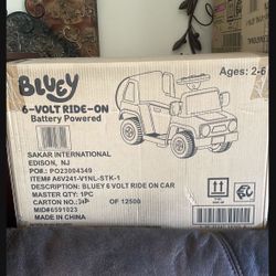 Buley Volt Ride On