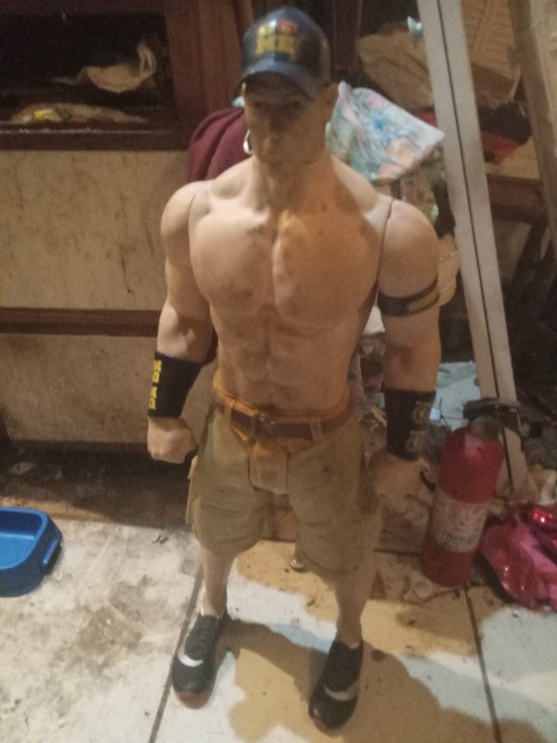 doll 2 ft john sena www wrestler come get 100