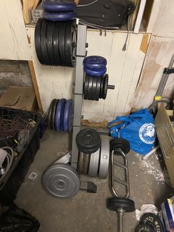 Gym Equipment Weights