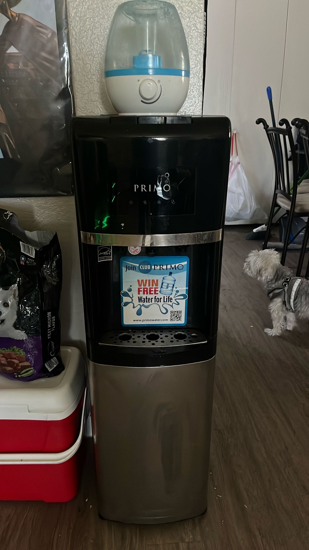 Water Dispenser Works Fine