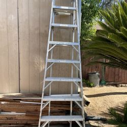 Ladder Great Condition 