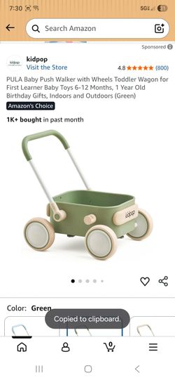 PULA Baby Push Walker with Wheels Toddler Wagon for First Learner Baby Toys 6-12 Months, 1 Year Old Birthday Gifts, Indoors and Outdoors (Green)