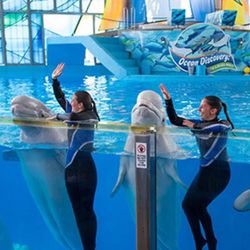 Seaworld SANDIEGO Tickets / Boletos 