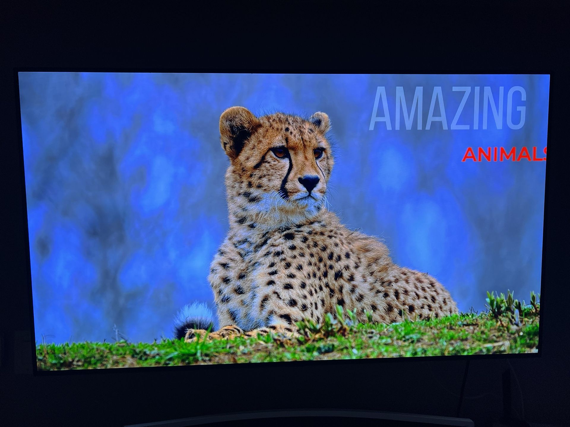 LG C8 Oled 120hz 4k HDR Tv