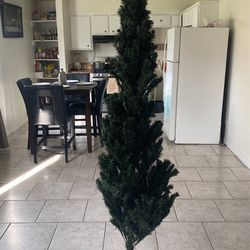 Árbol De Navidad