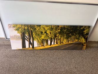 iCanvas Scenic Landscape Canvas Piece. Size of piece is: 60 x 20.