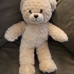 Authentic Build A Bear Teddy Bear 
