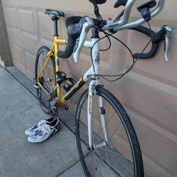 700x25c. RALEIGH MENS ROAD RACING (XL). EXCELLLENT CONDITION WITH FRESHLY TUNE UP 👌🏼