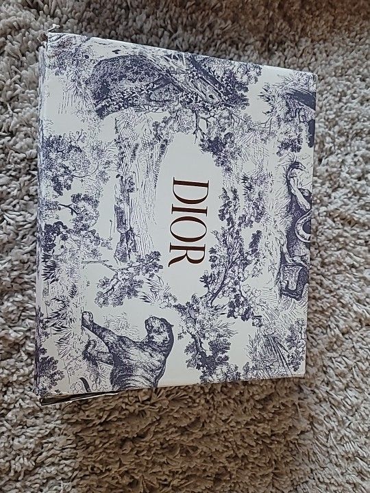 Christian Dior Loggo Saddle Bag