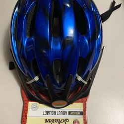 Schwinn Adult Helmet 14+ New
