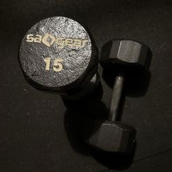 15 pound pair of dumbbells