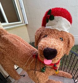 Early Christmas Sale