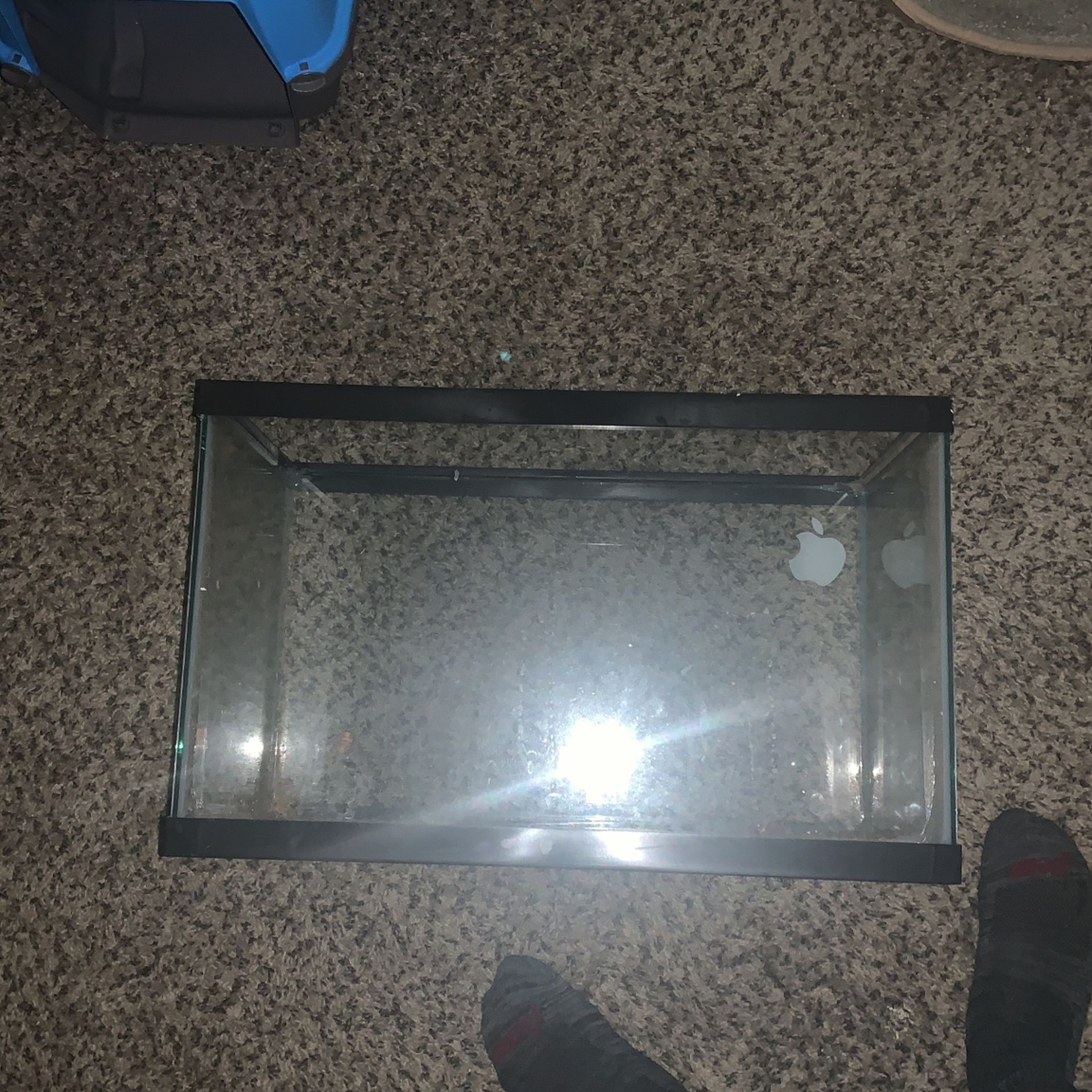Small Cage