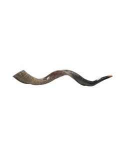 shofar