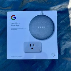Google Nest mini + smart plug