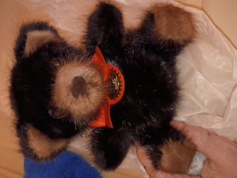Bears  vintage collectors