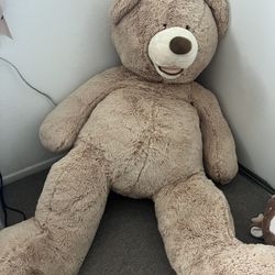 50 Inch Costco Bear