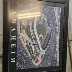 Angels Stadium Pic $5