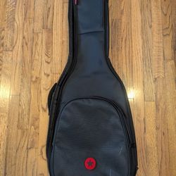 Road Runner RR3EG Avenue II Electric Guitar Gig Bag Black Standard 