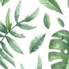 Little Leaf .co